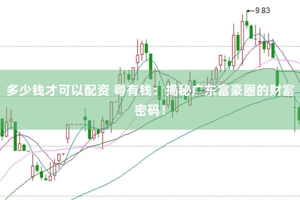 多少钱才可以配资 粤有钱：揭秘广东富豪圈的财富密码！