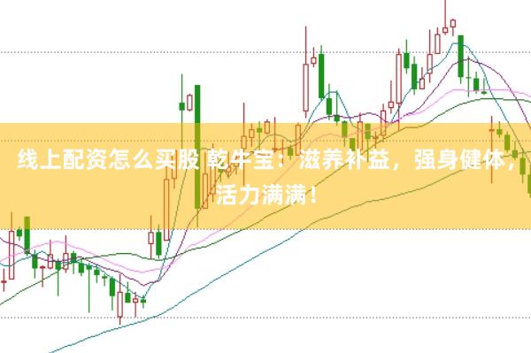 线上配资怎么买股 乾牛宝：滋养补益，强身健体，活力满满！