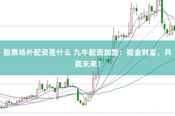 股票场外配资是什么 九牛配资加盟：掘金财富，共赢未来！