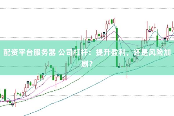 配资平台服务器 公司杠杆：提升盈利，还是风险加剧？