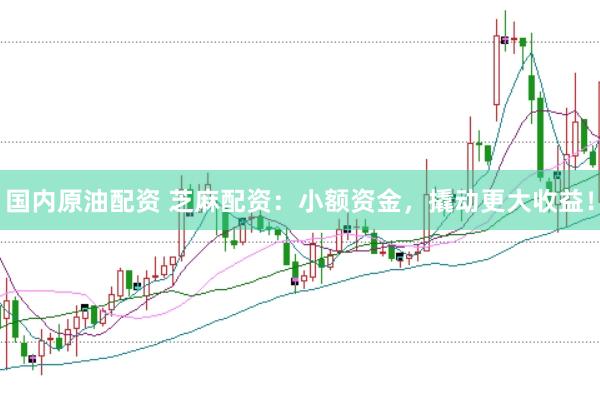 国内原油配资 芝麻配资：小额资金，撬动更大收益！