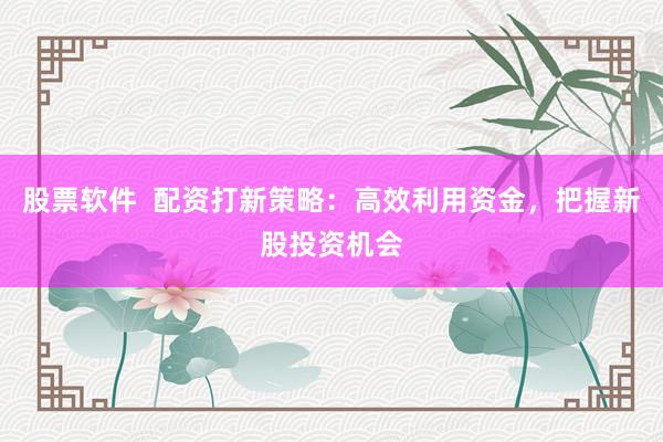 股票软件  配资打新策略：高效利用资金，把握新股投资机会