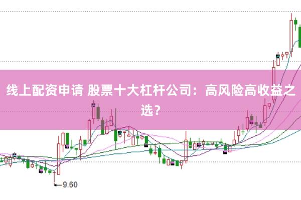 线上配资申请 股票十大杠杆公司：高风险高收益之选？