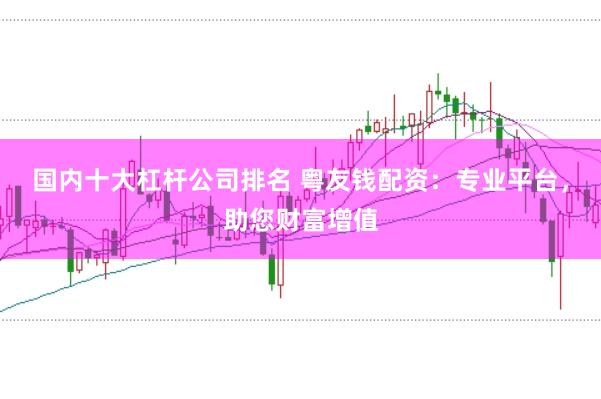 国内十大杠杆公司排名 粤友钱配资：专业平台，助您财富增值