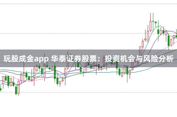 玩股成金app 华泰证券股票：投资机会与风险分析