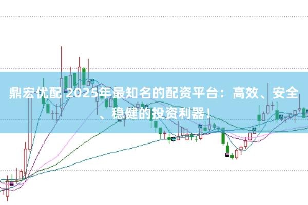 鼎宏优配 2025年最知名的配资平台：高效、安全、稳健的投资利器！
