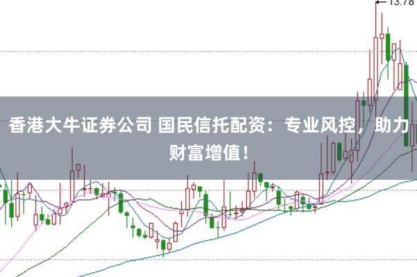 香港大牛证券公司 国民信托配资：专业风控，助力财富增值！