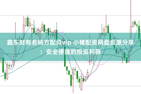 鑫东财有名杨方配资vip 小猪配资网盘资源分享：安全便捷的投资利器