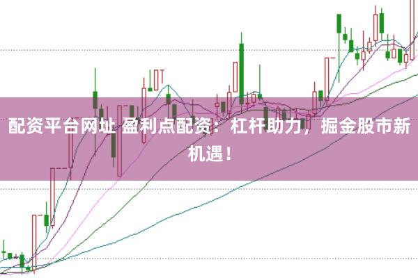 配资平台网址 盈利点配资：杠杆助力，掘金股市新机遇！