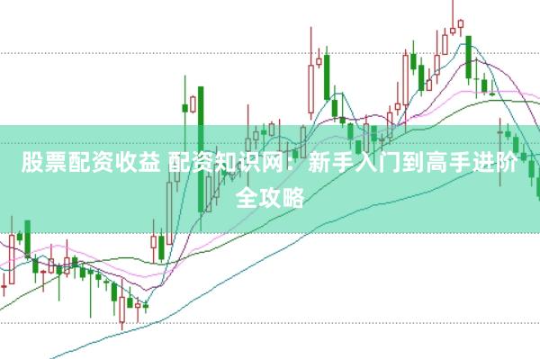 股票配资收益 配资知识网：新手入门到高手进阶全攻略