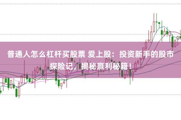 普通人怎么杠杆买股票 爱上股：投资新手的股市探险记，揭秘赢利秘籍！
