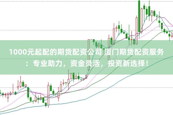 1000元起配的期货配资公司 厦门期货配资服务：专业助力，资金灵活，投资新选择！