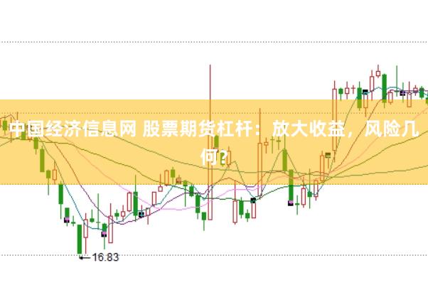 中国经济信息网 股票期货杠杆：放大收益，风险几何？