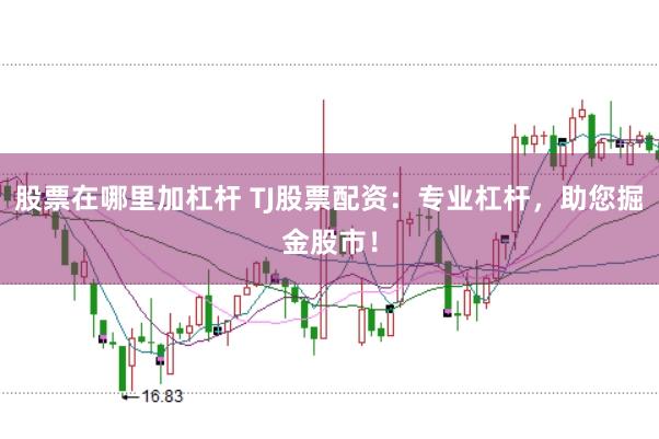 股票在哪里加杠杆 TJ股票配资：专业杠杆，助您掘金股市！