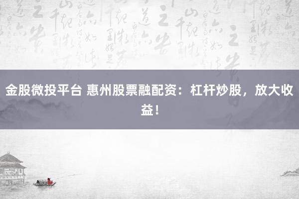 金股微投平台 惠州股票融配资：杠杆炒股，放大收益！