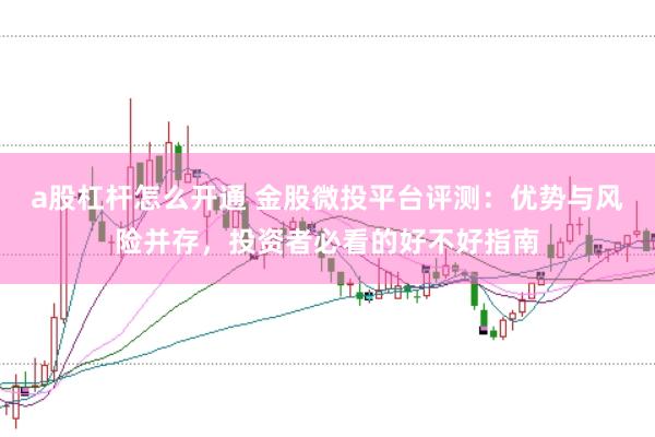 a股杠杆怎么开通 金股微投平台评测：优势与风险并存，投资者必看的好不好指南