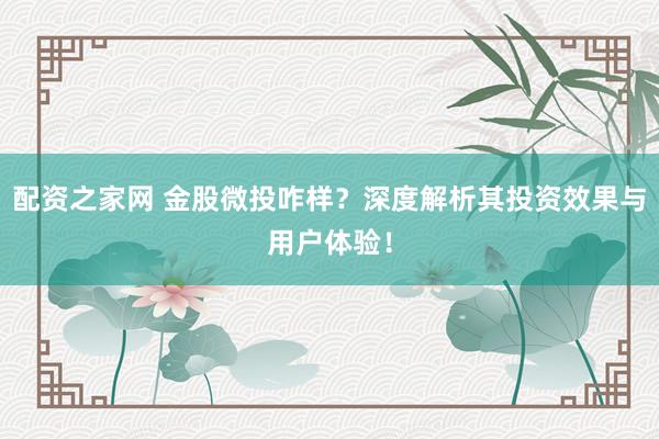 配资之家网 金股微投咋样？深度解析其投资效果与用户体验！