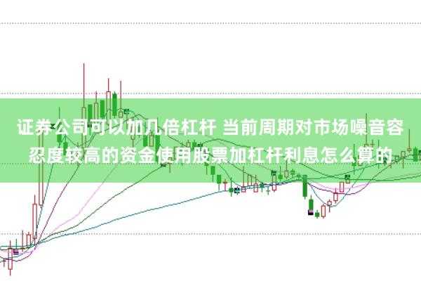 证券公司可以加几倍杠杆 当前周期对市场噪音容忍度较高的资金使用股票加杠杆利息怎么算的