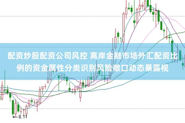 配资炒股配资公司风控 离岸金融市场外汇配资比例的资金属性分类识别风险敞口动态暴露视