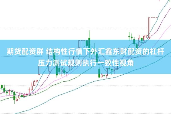 期货配资群 结构性行情下外汇鑫东财配资的杠杆压力测试规则执行一致性视角
