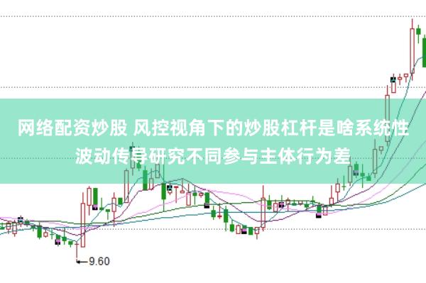 网络配资炒股 风控视角下的炒股杠杆是啥系统性波动传导研究不同参与主体行为差