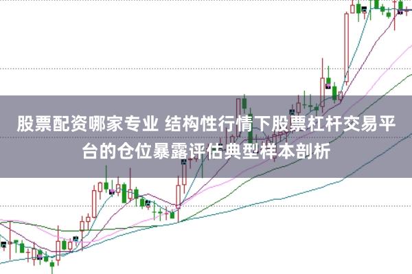 股票配资哪家专业 结构性行情下股票杠杆交易平台的仓位暴露评估典型样本剖析