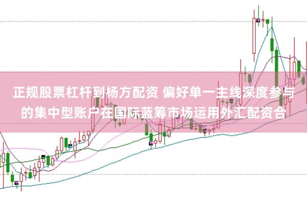 正规股票杠杆到杨方配资 偏好单一主线深度参与的集中型账户在国际蓝筹市场运用外汇配资合