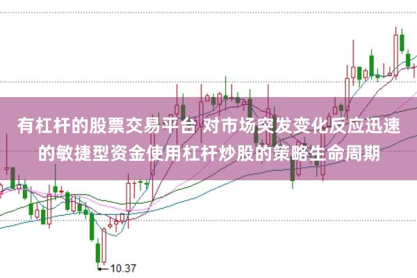 有杠杆的股票交易平台 对市场突发变化反应迅速的敏捷型资金使用杠杆炒股的策略生命周期