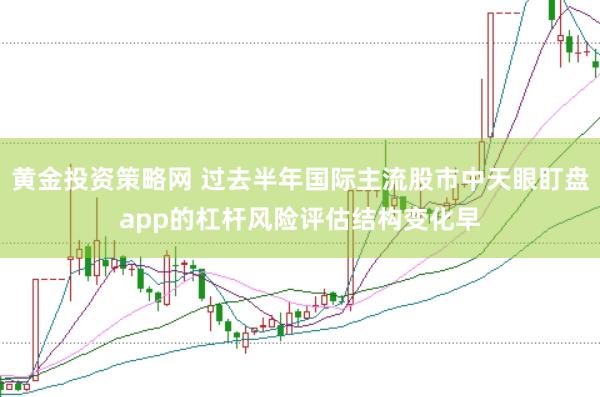 黄金投资策略网 过去半年国际主流股市中天眼盯盘app的杠杆风险评估结构变化早