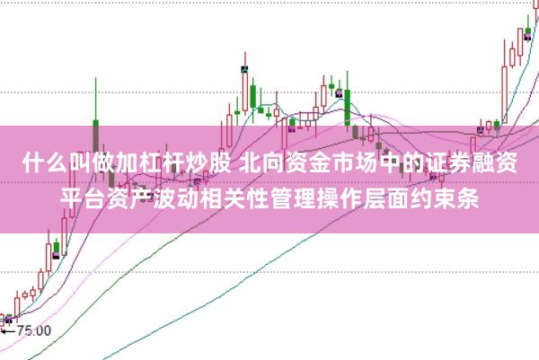 什么叫做加杠杆炒股 北向资金市场中的证券融资平台资产波动相关性管理操作层面约束条