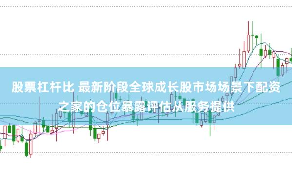 股票杠杆比 最新阶段全球成长股市场场景下配资之家的仓位暴露评估从服务提供