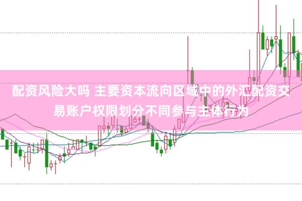 配资风险大吗 主要资本流向区域中的外汇配资交易账户权限划分不同参与主体行为