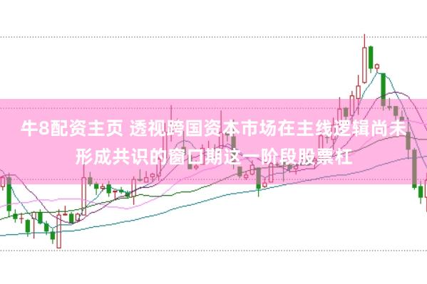 牛8配资主页 透视跨国资本市场在主线逻辑尚未形成共识的窗口期这一阶段股票杠