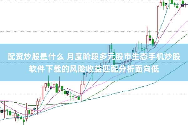 配资炒股是什么 月度阶段多元股市生态手机炒股软件下载的风险收益匹配分析面向低
