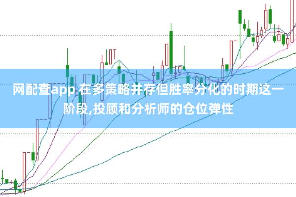 网配查app 在多策略并存但胜率分化的时期这一阶段,投顾和分析师的仓位弹性