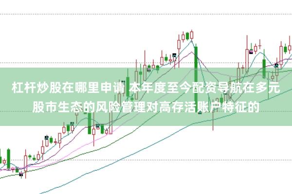 杠杆炒股在哪里申请 本年度至今配资导航在多元股市生态的风险管理对高存活账户特征的