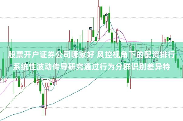股票开户证券公司哪家好 风控视角下的配资排行系统性波动传导研究通过行为分群识别差异特